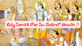 భీష్మ ఏకాదశి.. ఈరోజు ఆ ఒక్కటీ చేస్తే అదృష్టం, రాజయోగం మీదే!