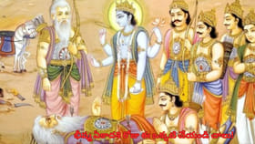 భీష్మ ఏకాదశి.. ఈరోజు ఆ ఒక్కటీ చేస్తే అదృష్టం, రాజయోగం మీదే!