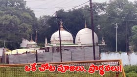 వసంత పంచమి రోజున హిందువులతో పాటు ముస్లింల ప్రార్ధనలు!