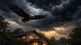 మీరు ఇంటి బయట ఈ పక్షులను చూస్తే.. ఏదో జరగబోతోందని అర్థం, జాగ్రత్త