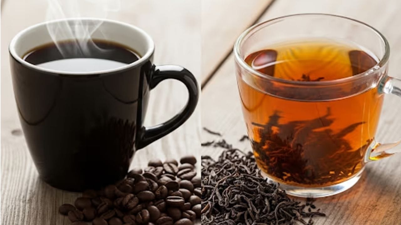 బ్లాక్ కాఫీ తాగడం వల్ల కలిగే ప్రయోజనాలు: తక్షణ శక్తిని అందించడంలో బ్లాక్ కాఫీ అనేది టీ కంటే ఉత్తమంగా పనిచేస్తుంది. ఒక కప్పు బ్లాక్ కాఫీలో దాదాపు 95 మిల్లీగ్రాముల కెఫిన్ ఉంటుంది, అదే కప్పు బ్లాక్ టీలో 26-48 మిల్లీగ్రాములు ఉంటాయి. కెఫిన్ మనకు తక్షణ శక్తిని పెంచడంలో సహాయపడుతుంది. ఏకాగ్రతను పెంచుతుంది. అందుకే బ్లాక్ టీ కంటే కాఫీ బెస్ట్ అనిపిస్తుంది. 