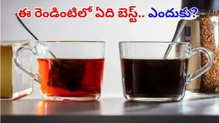 Mutton Recipes: తమిళనాడు స్పెషల్ మటన్ సుక్కా ఫ్రై!.. ఈ సీక్రెట్ పొడి వేస్తే రుచి మామూలుగా ఉండదు!