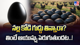 నల్ల కోడి గుడ్డు తిన్నారా ?? తింటే ఆయుష్షు పెరుగుతుందట