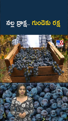 Black Grapes: నల్లద్రాక్ష.. మీ చిట్టి గుండెకు రక్షణ కవచం..!