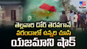 తెల్లవారిందని తలుపు తెరిచిన యజమాని.. వరండాలో ఉన్నది చూసి షాక్‌