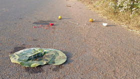 వీధిలోని నిమ్మకాయలు, కుంకుమ.. ఎంత పని చేశాయ్..