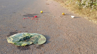 Andhra: సాక్షాత్తు ఆ వెంకటేశ్వర స్వామి వారే ప్రత్యక్షమయ్యారు.. ఈ ఆలయం గురించి మీకు తెలుసా..