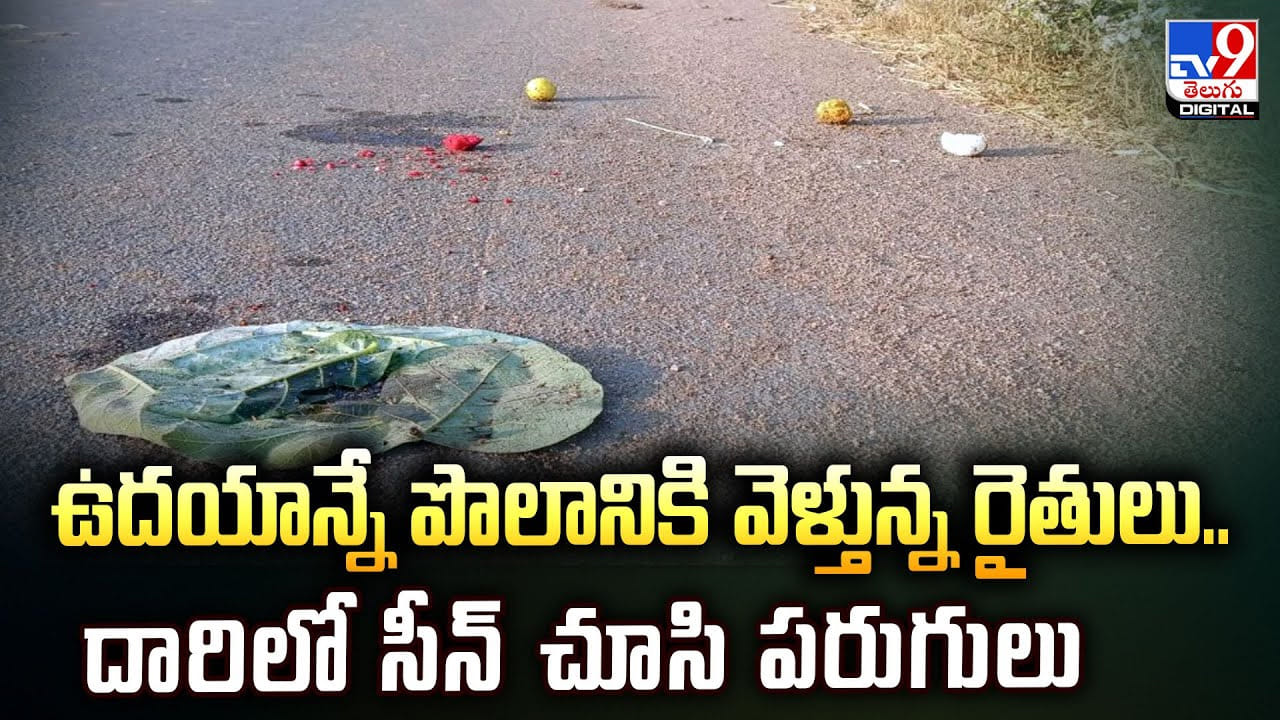 ఉదయాన్నే పొలానికి వెళ్తున్న రైతులు.. దారిలో సీన్‌ చూసి పరుగులు