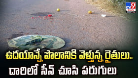 ఉదయాన్నే పొలానికి వెళ్తున్న రైతులు.. దారిలో సీన్‌ చూసి పరుగులు