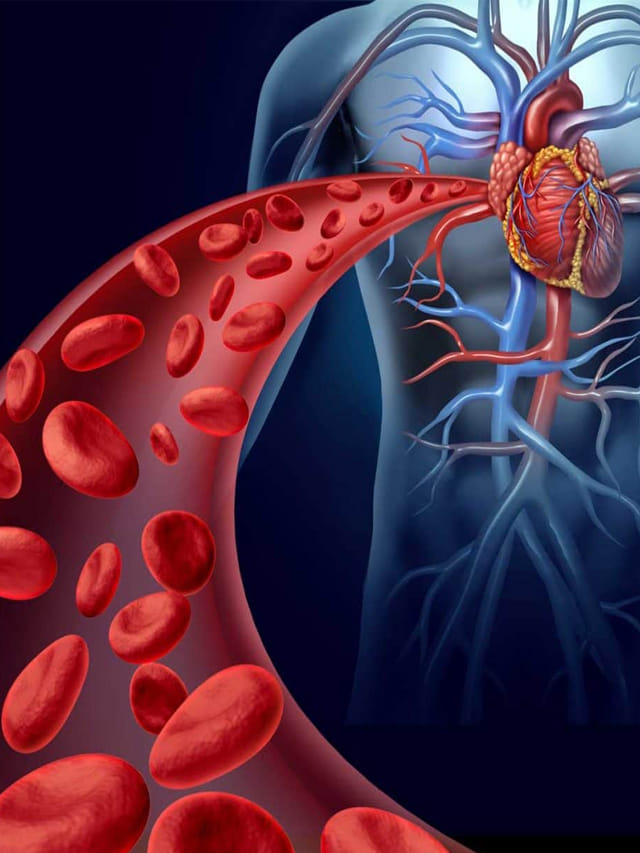 రక్త ప్రసరణను పెంచే ఫ్రూట్స్ ఇవే.. ఇవి తింటేనే మీ గుండె పదిలం!