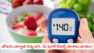 Onion Hacks: ఉల్లిపాయలు కొంటున్నారా? ఈ 4 విషయాలు గమనించకపోతే మీ డబ్బులు వృథా అయినట్టే!