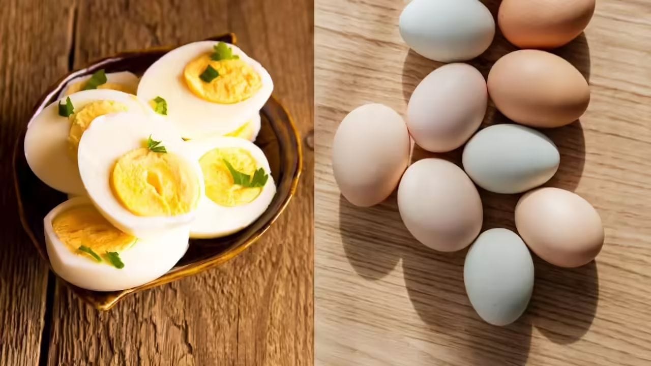 Boiled Eggs: ఉడికించిన గుడ్లను ఎంతటైంలోపు తొనొచ్చు? చెడిపోకుండా ఎలా స్టోర్ చేయాలో తెలుసుకోండి!