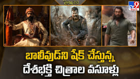 బాలీవుడ్‌ని షేక్‌ చేస్తున్న దేశభక్తి చిత్రాల వసూళ్లు