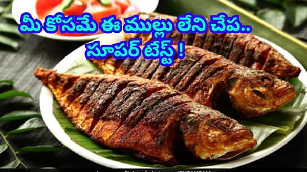 మాంసం ప్రియులకు నోరూరించే న్యూస్...చిన్న ముల్లు కూడా లేని చేపలు.. మీ కోసమే..!