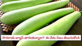 సొరకాయ జ్యూస్ తాగుతున్నారా? ఈ చేదు నిజం తెలుసుకోండి