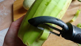 తొక్కే అని తీసిపారేయకండి.. సొరకాయ పొట్టుతో బోలెడు లాభాలు!