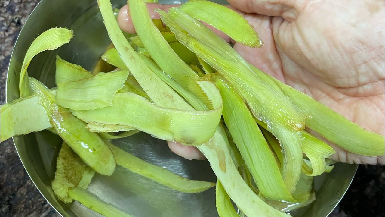 బరువు తగ్గాలి అనుకునే వారికి కూడా సొరకాయ తొక్కలు చాలా బెస్ట్ అని చెప్పాలి. వీటిలో ఫైబర్ ఎక్కువ మోతాదులో ఉంటుంది. అంతే కాకుండా నీరు , అవసరమైన పోషకాలు కూడా పుష్కలంగా ఉంటాయి. అందువలన దీనిని ఆహారంలో చేర్చుకోవడం వలన, ఇందులో ఉండే కేలరీస్ ఆకలిని నియంత్రించి, బరువు పెరగకుండా చేస్తుందంట. ఇది శరీరానికి చాలా మంచిది.