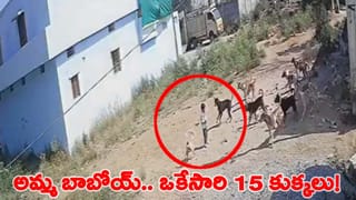 దారి వెంట వెళ్తున్న మూడేళ్ల బాలుడు.. ఒక్కసారిగా దాడి చేసిన 15 కుక్కలు..!