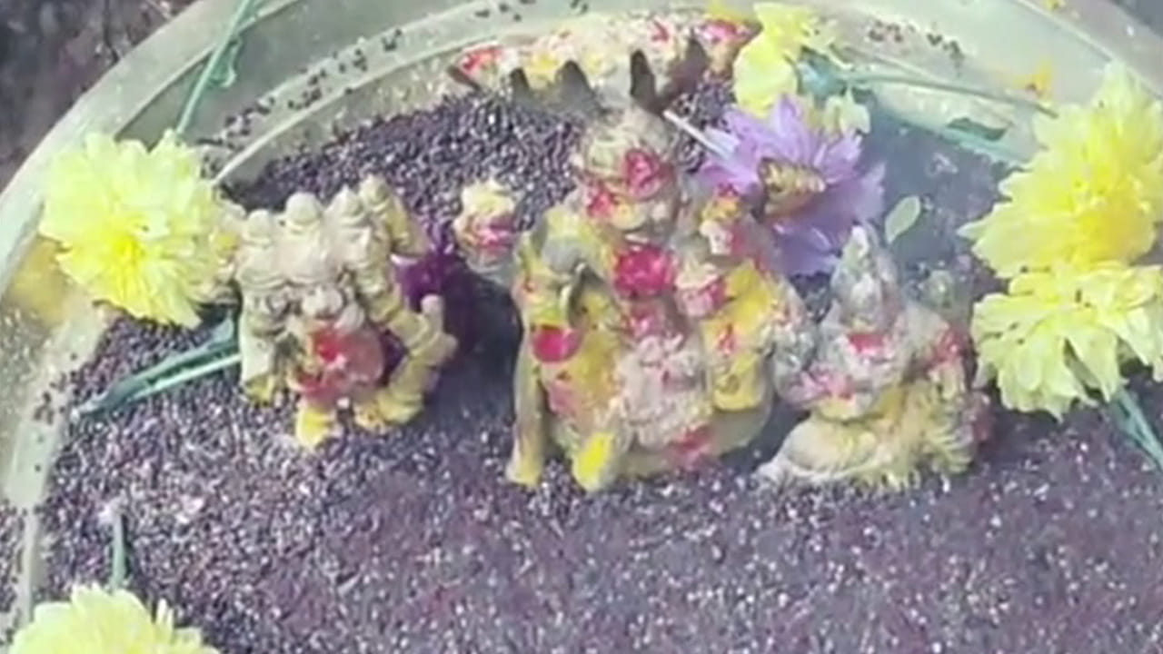 Kadapa: బాలుడి కలలోకి వచ్చిన దైవం.. వెళ్లి ఆ పుట్టను తవ్వమన్నాడు.. అలా చేసేసరికి..