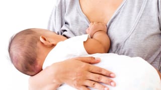 ఈ పక్షి ఈక ఒక్కటి మీ ఇంట్లో ఉంటేచాలు.. ఒక్క బల్లి కూడా ఉండదు..! వెంటనే వెతికి తెచ్చేసుకోండి..