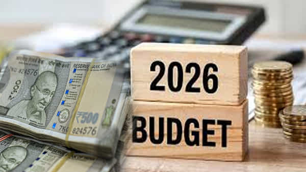 Union Budget: ఈ బడ్జెట్లో ఈ ప్రకటన వస్తే సామాన్యులకు పెద్ద వరమే.. అదేంటో తెలిస్తే ఎగిరి గంతేస్తారు!