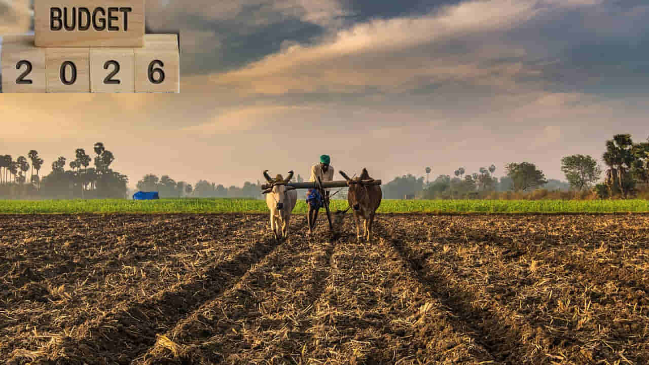 Budget 2026: ఈ బడ్జెట్లో రైతులకు శుభవార్త రానుందా? పీఎం కిసాన్ సాయం రూ.10 వేలకు పెరగనుందా?