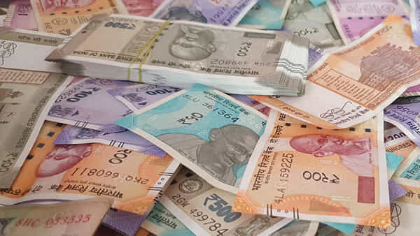 Business Ideas: సొంతూరిలోనే సింపుల్ వ్యాపారం.. నెలకు రూ. లక్ష పక్కా.. స్టార్ట్ చేస్తే తిరుగుండదిక