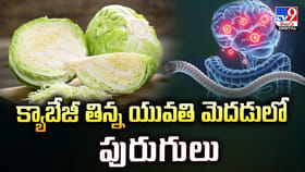 క్యాబేజీ తిన్న యువతి మెదడులో పురుగులు వీడియో