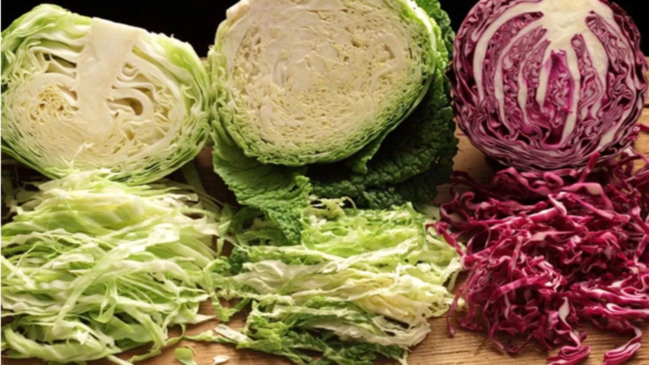  క్యాబేజీలో పోషకాలు : క్యాబేజీ బ్రాసికా కుటుంబానికి చెందినది, ఇందులో బ్రోకలీ, కాలీఫ్లవర్, కాలే వంటి కూరగాయలు ఉంటాయి. USDA డేటా ప్రకారం, 100 గ్రాముల క్యాబేజీలో దాదాపు 25 కేలరీలు, దాదాపు 92 గ్రాముల నీరు, 1.2 గ్రాముల ప్రోటీన్, చాలా తక్కువ కొవ్వు, 2.5 గ్రాముల ఫైబర్ , 3.2 గ్రాముల సహజ చక్కెర ఉంటాయి. క్యాబేజీ విటమిన్ సి, విటమిన్ కె లకు కూడా మంచి మూలం, ఇవి రోగనిరోధక శక్తి, ఎముకల ఆరోగ్యానికి ప్రయోజనకరంగా భావిస్తారు.