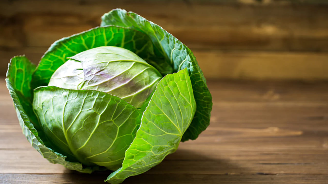 క్యాబేజీలో విటమిన్ K పుష్కలంగా ఉంటుంది. ఇది రక్తం గడ్డకట్టడానికి సహాయపడుతుంది. మీరు రక్తాన్ని పలుచబరిచే మందులు (ఉదా. వార్ఫరిన్) తీసుకుంటుంటే, క్యాబేజీ మందుల ప్రభావాన్ని తగ్గించవచ్చు.