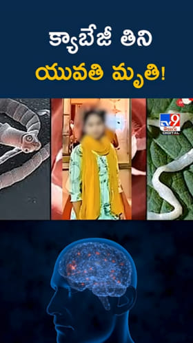 Tragedy: క్యాబేజీ తిన్న యువతికి బ్రెయిన్ ఇన్ఫెక్షన్.. చివరకు..