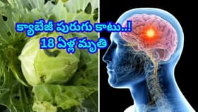బాబోయ్‌ క్యాబేజీ తిని 18 ఏళ్ల యువతి మృతి..! మెదడుపై ఎఫెక్ట్
