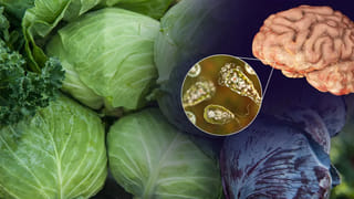 Viral Video: ఇంట్లోకి చిరుత ఎంట్రీ.. ఆ తర్వాత ఏం జరిగిందంటే… శ్రీశైలంలో సీసీటీవీ కెమెరాలో రికార్డ్‌