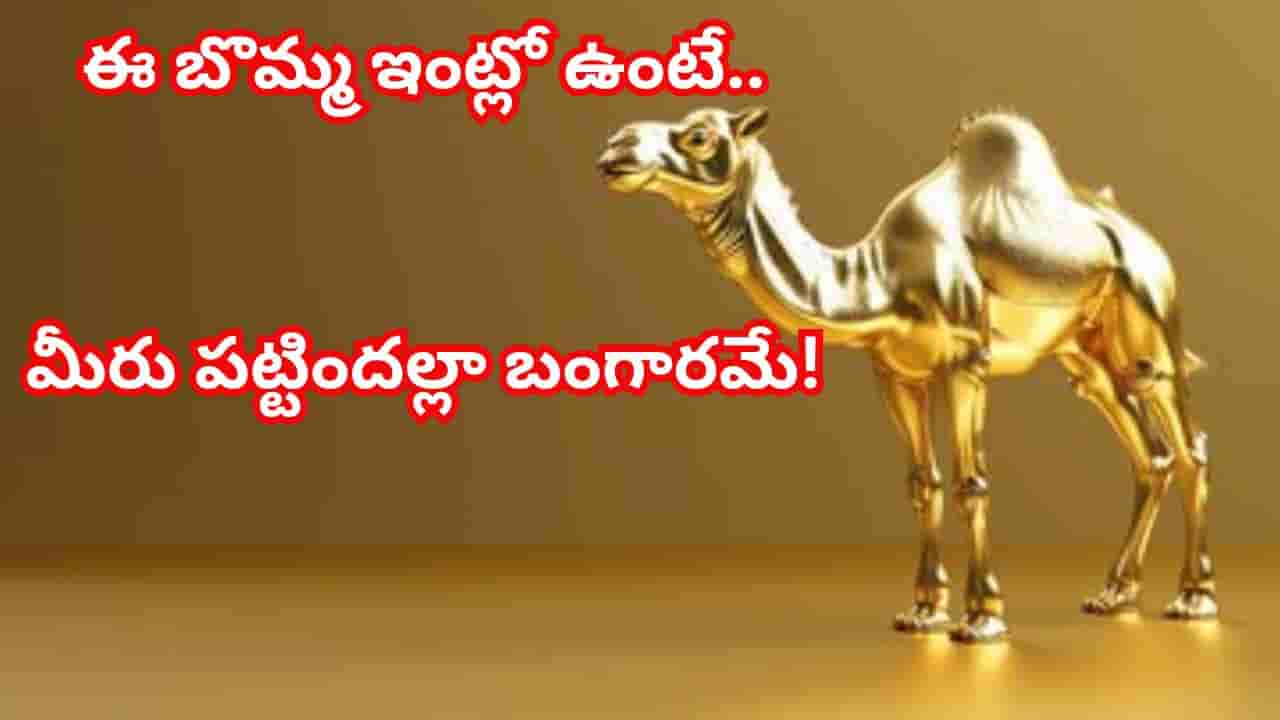 Camel Idols Vastu: ఇంట్లో ఒంటె విగ్రహం పెట్టుకుంటే మీ అదృష్టానికి తిరుగుండదు..డబ్బుకు లోటు ఉండదు..!