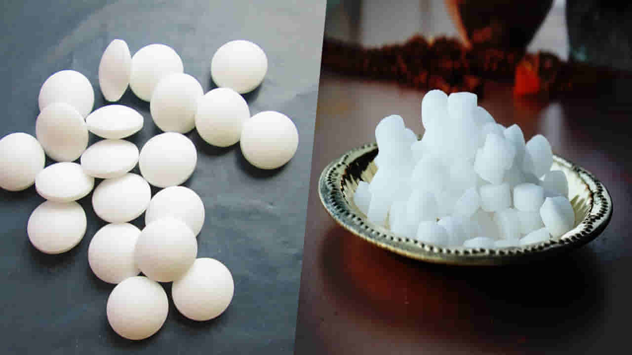 Camphor vs Naphthalene: కర్పూరం vs నాఫ్తలీన్ బాల్స్.. మీ ఆరోగ్యానికి ఏది మంచిది?