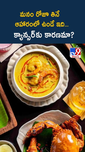 Cancer Risk: మనం రోజూ తినే ఆహారంలోని ఇవి... క్యాన్సర్‌కు కారణమా..?