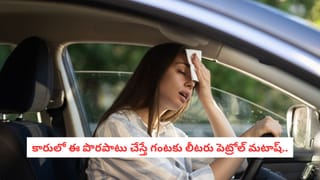 Tomato vs Chicken Soup: టమాటా సూప్ లేదా చికెన్ సూప్.. రోగనిరోధక శక్తికి, చర్మాన్ని మెరిసేలా చేసేందుకు ఏది బెస్ట్!