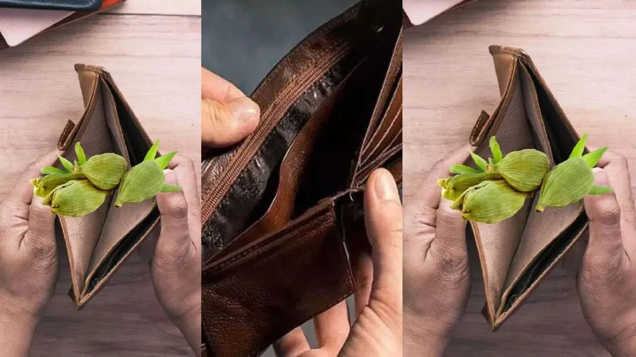 పొదుపు లేని వారు ఎల్లప్పుడూ తమ పర్సులో యాలకులను ఉంచుకోవాలి. మీరు మీ పర్సును తెరిచిన ప్రతిసారీ, దాని సువాసన ఆనందం, శ్రేయస్సును కలిగిస్తుంది.

యాలకులు సంపదను ఆకర్షిస్తాయనే విశ్వాసం చాలా మందిలో ఉంది. మీరు వ్యాపారంలో లాభం పొందకపోతే, మీ పర్సులో యాలకులను ఉంచుకుంటే మీకు సంపద వస్తుంది. మీరు తరచుగా చెడు దృష్టికి గురవుతుంటే..  మీరు మీ పర్సులో ఒక యాలకులను ఉంచుకోవాలి. మీ పర్సులో ఒక యాలకులను ఉంచుకోవడం వల్ల చెడు దృష్టి మీ నుంచి దూరమవుతుంది. ఇది చెడు దృష్టి నుంచి మిమ్మల్ని రక్షిస్తుంది. 
