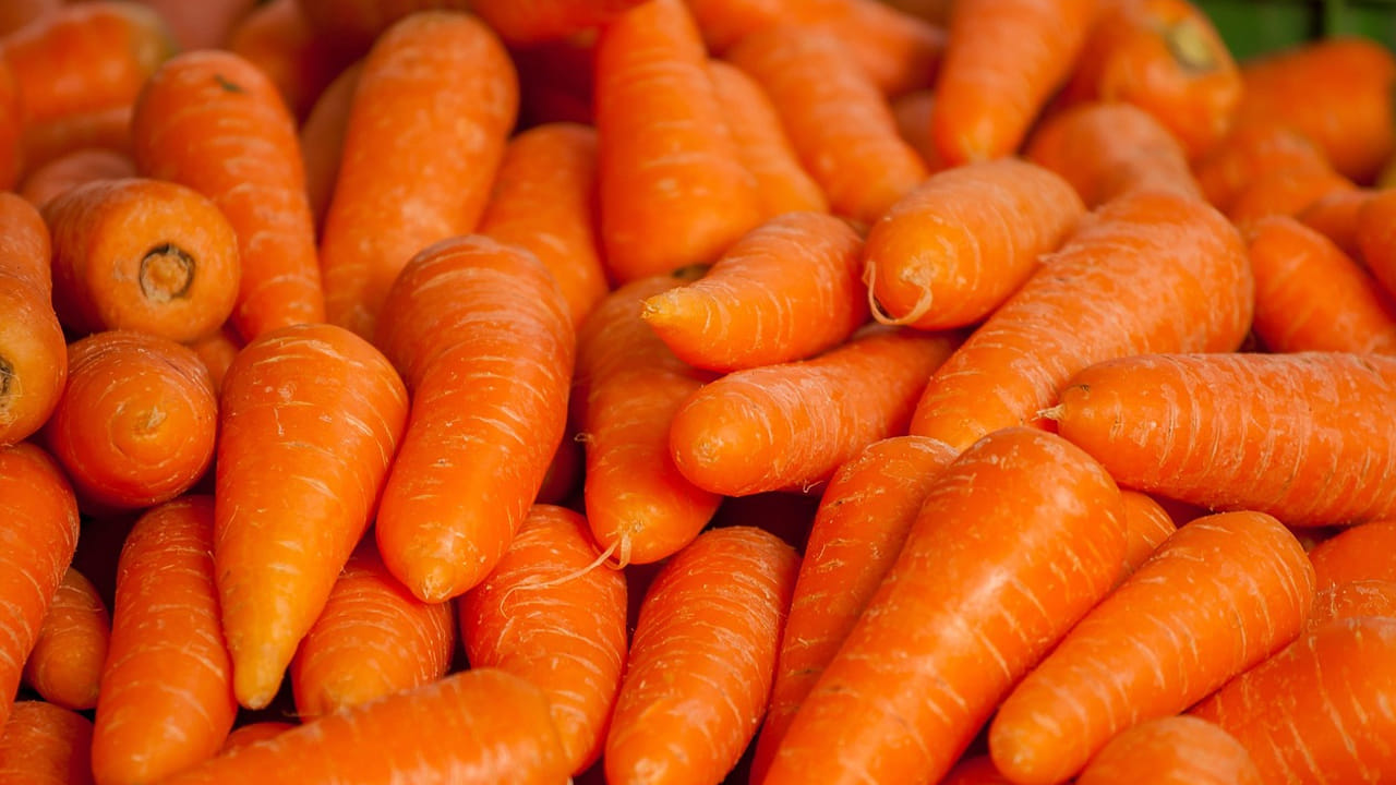 నిద్రలేమి సమస్య: సమయానికి నిద్ర పట్టక నైట్ అంతా మేల్కొంటూ కొందరు ఇబ్బంది పడుతుంటారు. ఒత్తిడి కూడా ఒక కారణం. ఆ సమయంలో క్యారెట్ అస్సలు తీసుకోకండి. ఇది నిద్ర రాకుండా చేస్తుంది. 