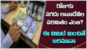 రోజుకు నగదు లావాదేవీల పరిమితి ఎంత? ఈ లిమిట్‌ దాటితే జరిమానా!