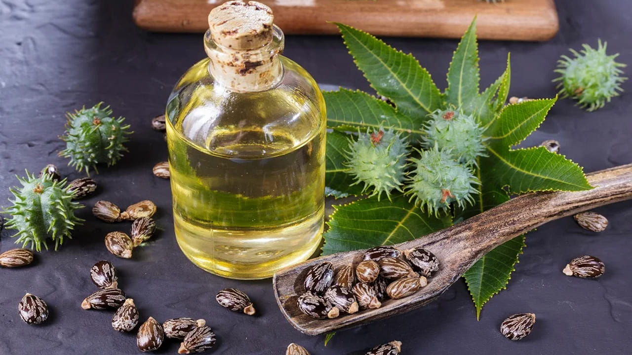 Castor Oil Benefits: ఆముదం తీసుకుంటే మలబద్దకం, గ్యాస్ నయమవుతాయా? ఇందులో నిజమెంత..