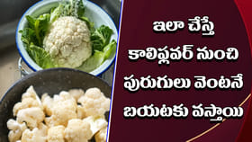 కాలీఫ్లవర్ నుండి పురుగులను ఎలా తొలగించాలి? వెరీ సింపుల్‌..