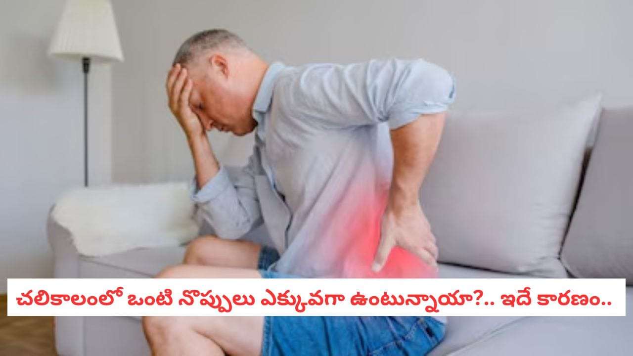 Winter Health: చలికాలంలో ఉదయం నిద్రలేవగానే ఒళ్లు నొప్పులా? నిపుణులు చెబుతున్న నివారణలివే!
