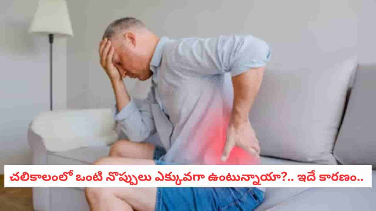 Winter Health: చలికాలంలో ఉదయం నిద్రలేవగానే ఒళ్లు నొప్పులా? నిపుణులు చెబుతున్న నివారణలివే!