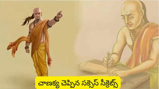 Pet Care: ప్రేమతో పెట్టే ఆహారమే వాటి పాలిట విషం.. కుక్కలకు అస్సలు ఇవ్వకూడని ఆహారాలు ఇవే!