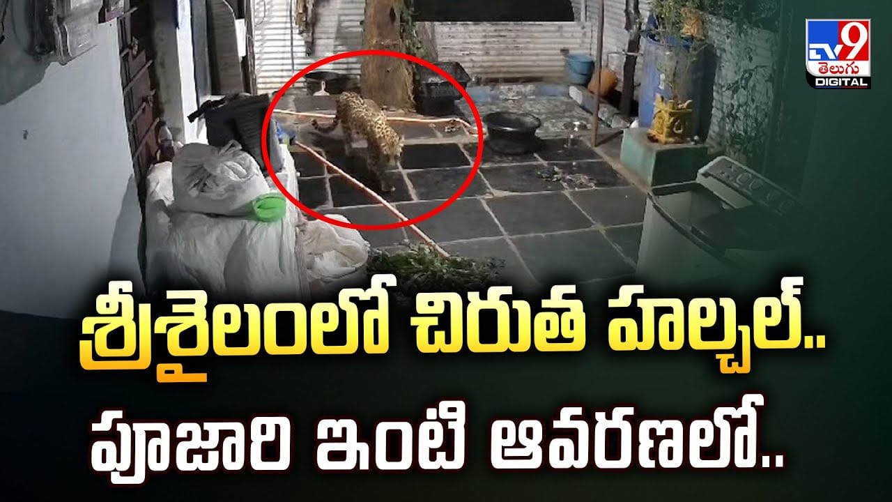 శ్రీశైలంలో చిరుత హల్చల్‌.. పూజారి ఇంటి ఆవరణలో