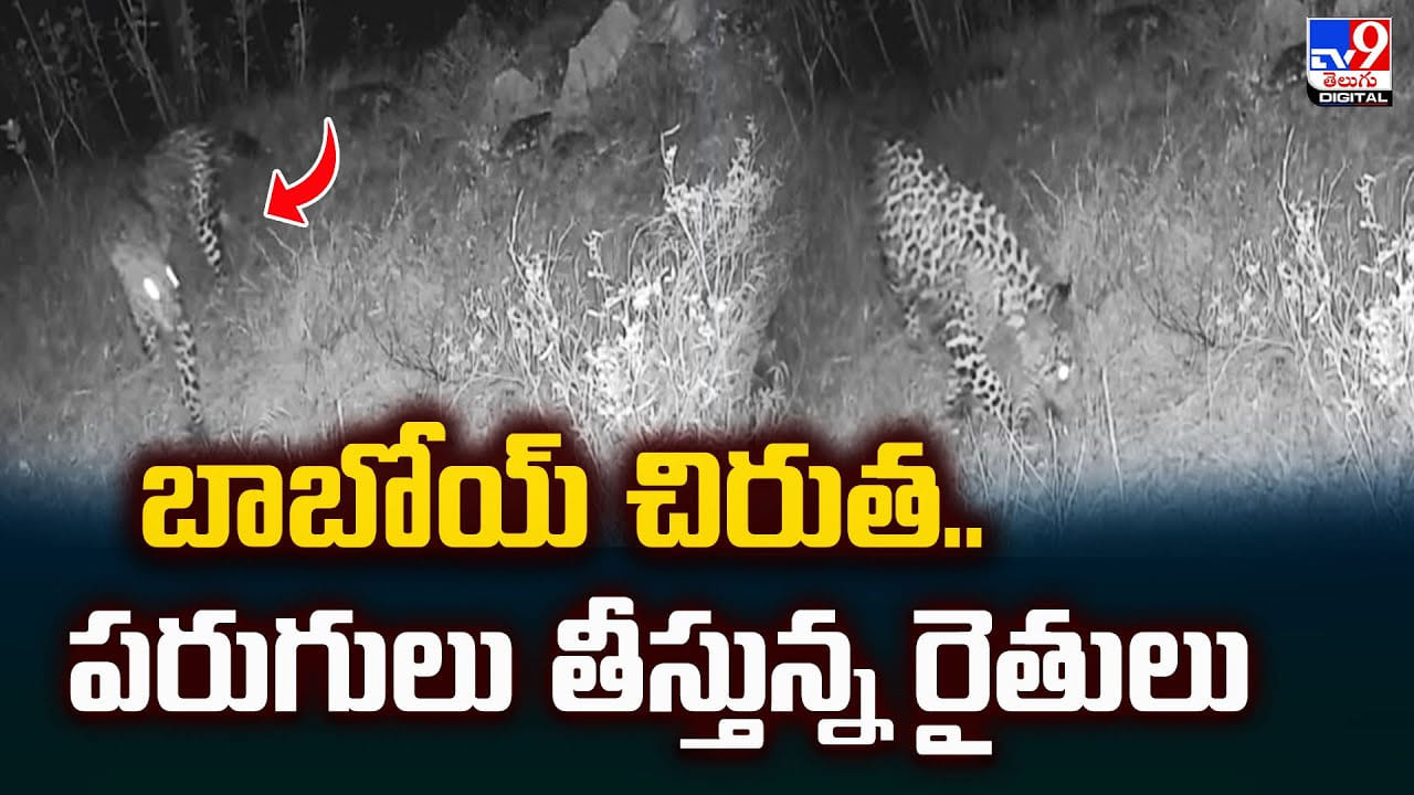 బాబోయ్‌ చిరుత.. పరుగులు తీస్తున్న రైతులు