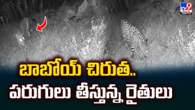 బాబోయ్‌ చిరుత.. పరుగులు తీస్తున్న రైతులు