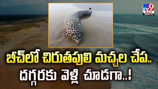 2026 భయానకం.. నోస్ట్రడామస్ జోస్యం