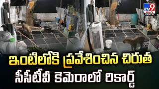 Rajeev Kanakala: ‘ఆ సినిమా షూటింగ్ సమయంలో ఎన్టీఆర్‌తో గొడవ..’ జక్కన్నకు చెప్పడంతో ఏం జరిగిందంటే.?